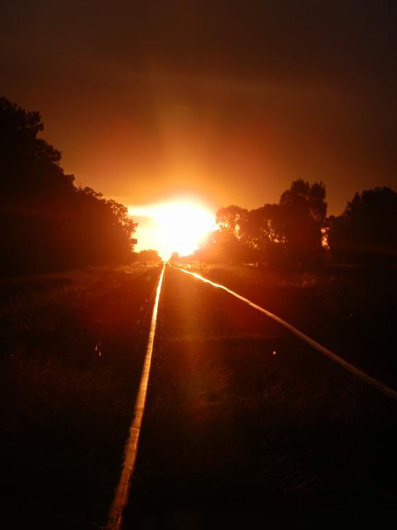 Narrabri Motel And Caravan Park Экстерьер фото